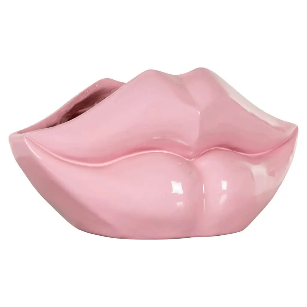 - Vaas Lippo pink