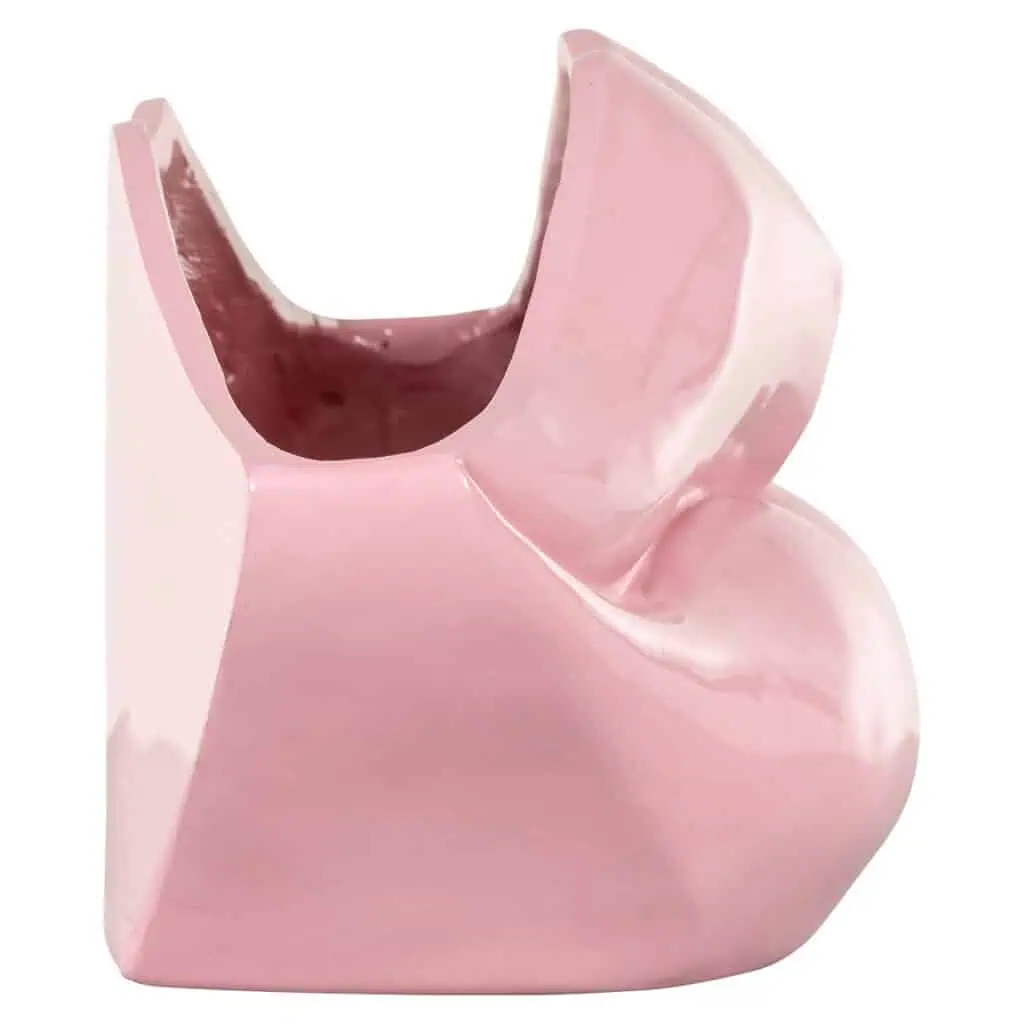 - Vaas Lippo pink