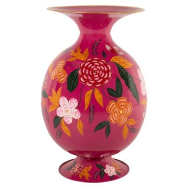 - Vaas Anicia multicolor