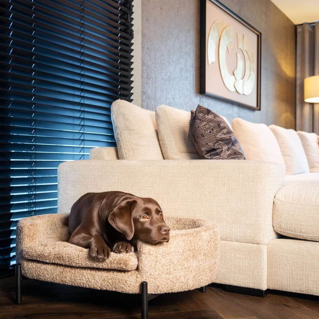 s4900_nature_sheep-burton-wa-0006-setting_5_hires_v2-setting